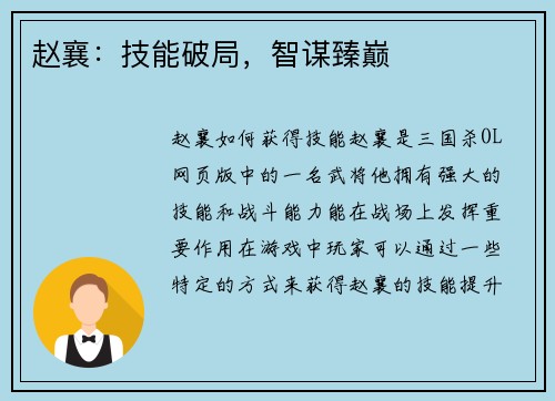 赵襄：技能破局，智谋臻巅